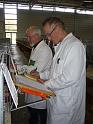 Muenster 2008 006